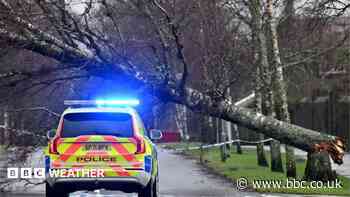 Storm Austen hits UK as yellow wind warnings in effect