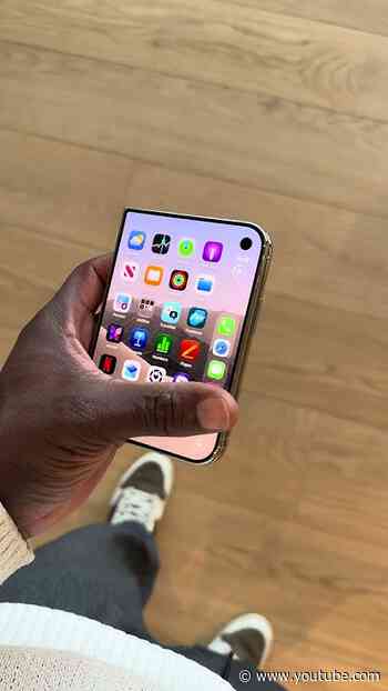 iPhone Duo colours