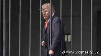 Tehran Art Display Puts Trump Behind Bars and Tells Passers-by 'It Is a Crime Not To See This Scene'