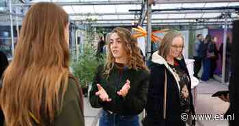 Bouwer Heijmans gaat voluit voor Dutch Design Week