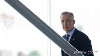 Claims that Canada is interfering in U.S. midterms have 'no merit,' Carney says