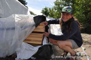 Northern Forest Center balances forest conservation with economic growth