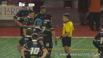 Top Welsh referee publicly hits back at 'bottlejob' attack from fan