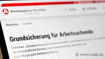 Merz erwartete „zweistellige Milliardenbeträge“ – Regierung nennt jetzt Millionen-Einsparungen