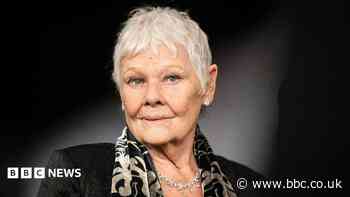 Dame Judi Dench: 'I can't do a play, a film or read anymore'