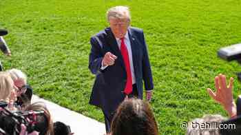 Trump denies speaking to Musk about Starlink but says he will if it’s not fixed