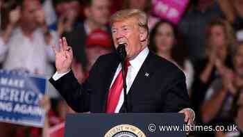 Mary Trump Calls Uncle's Ogling of a Male Senator's Body 'Deeply Weird' and Notes Mental Decline