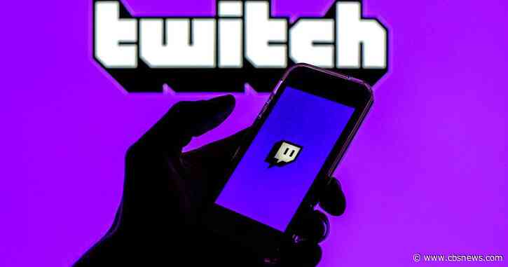 Metro Atlanta Twitch streamer banned from owning dogs after pleading guilty in animal cruelty case