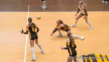 Cowgirls Again Fall in Four to Visiting Hawai’i