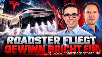 Tesla: Roadster fliegt, Gewinn bricht ein - was nun?