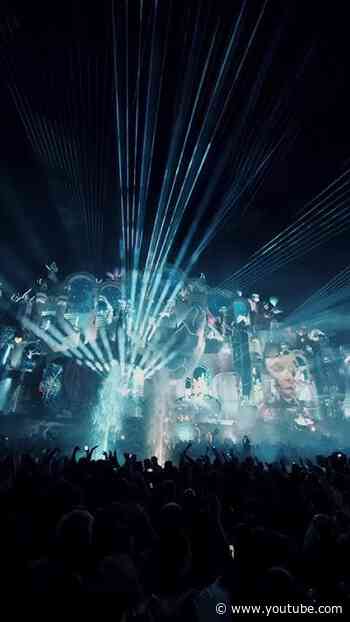 The magic is real. The memories last forever.