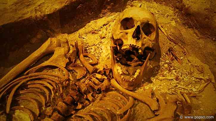 Psychologist found the first corporate psychopath—a 17th century Dutch mutineer