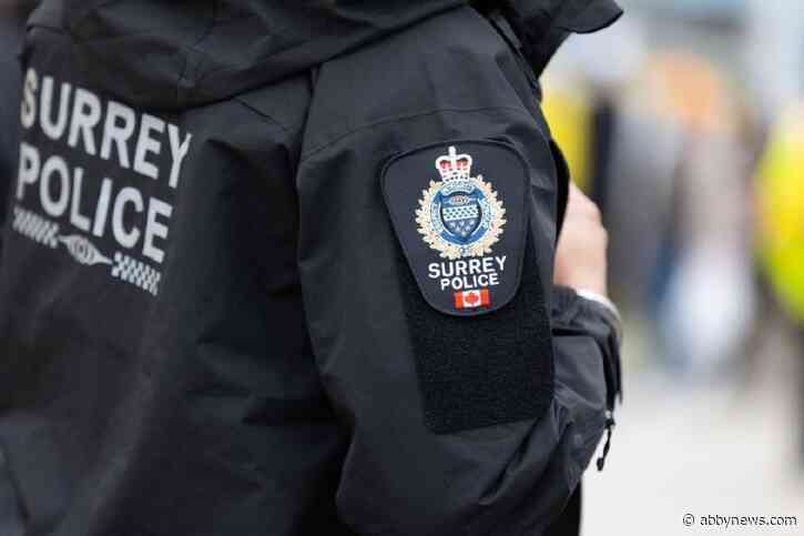 More charges approved in Surrey attempted child abduction