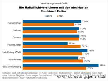 Die profitabelsten Haftpflicht-Anbieter