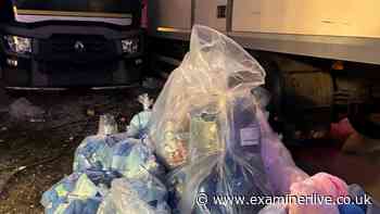 Lilo & Stitch Hull Fair squishy toy warning as Trading Standards seize £10,000 in dangerous goods