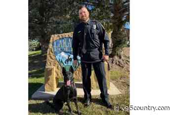 Meet The Laramie Police Department’s First K9 Since 1999, Zara