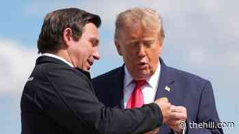 DeSantis gifts Trump gold coin with engraved image of him 'flipping the bird'