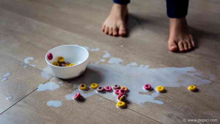 The 5-Second Rule is scientifically false