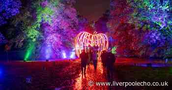 First look as huge Nightmare Before Christmas light trail arrives in Cheshire