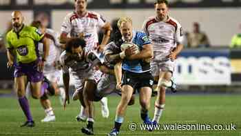 Cardiff overpowered by Sharks as second-half fightback falls short