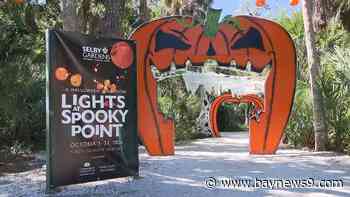 Let’s get (mildly) spooky st Selby Botanical Gardens