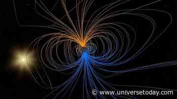 Magnetic Field Reversals and Extinctions: The Correlation Won't Go Away.