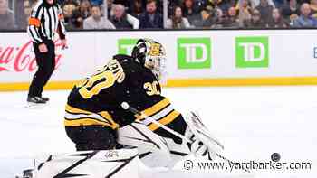 Torrid Bruins look to tackle improving Sharks