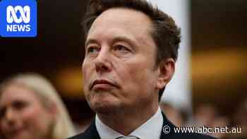 Elon Musk has a lot to lose at US midterms as pollsters tip blue wave