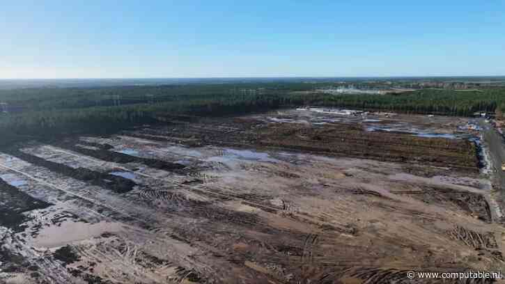 Google krijgt wind van voren na kaalslag in Fins bos
