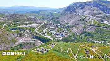 'Rare opportunity' to buy land including Zip World and two power stations