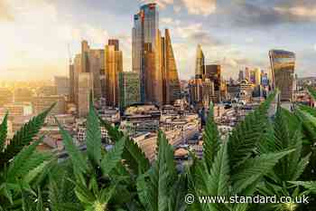 Is it time for London to legalise cannabis?