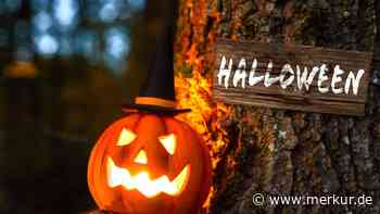 Halloween-Attraktionen in Bayern: 15 schaurige Ausflugstipps für Groß und Klein
