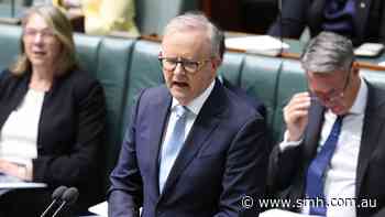 ‘On the verge of breakdown’: MPs’ staff burnt out from online hate