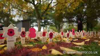 BRIAN READE: 'Battle over Palestinian terror poppies is a load of poppycock'
