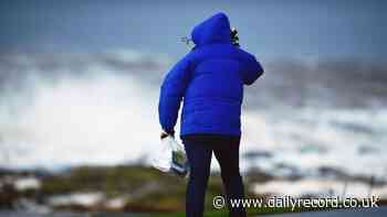 Scotland braced for Saturday travel chaos as Storm Boelo to bring '80mph winds'