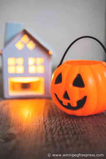What $4 pumpkin can teach us  about workplace culture