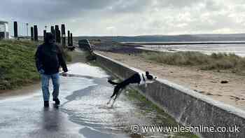 Storm Austen batters Wales as 70mph winds close roads and cancel trains