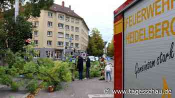 Verletzte und Schäden nach "Sturmtief" Luise