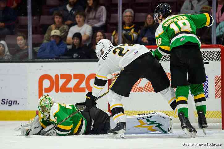 Sarnia Sting lose 6-4 against London Knights