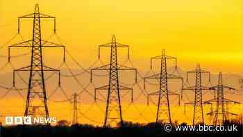 Wales plans to ban steel pylons as government launches consultation