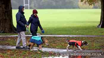 Storm Boelo live updates as heavy rain and high winds hit Wales