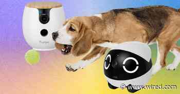 Best Pet Camera of 2026: Furbo, Petcube, and Enabot