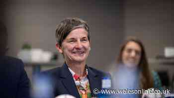'Welsh Labour's blunders stink of a party that has lost its way' | Laura McAllister