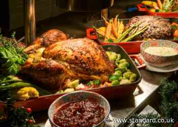 Bird flu outbreak sparks fears for Christmas turkey supply as 32,000 birds culled