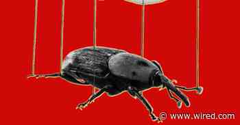 The PHP Meltdown Shows How AI Makes Bugs More Exploitable