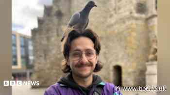 'Pigeons deserve more kindness'