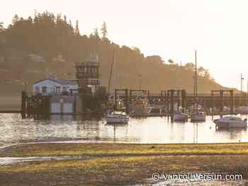 B.C. Election 2026: Vancouver Island ridings could be up for grabs