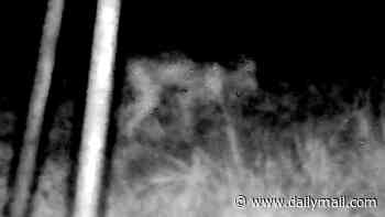 New UFO files detail sightings of six-foot 'skinwalkers' and 'portal to another world' near America's famous paranormal hotspot