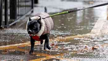 Storm Boelo live updates as more than 30 flood alerts issued