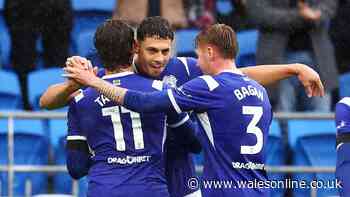 Dazzling Cardiff City ratings as midfielder incredible and defenders outstanding